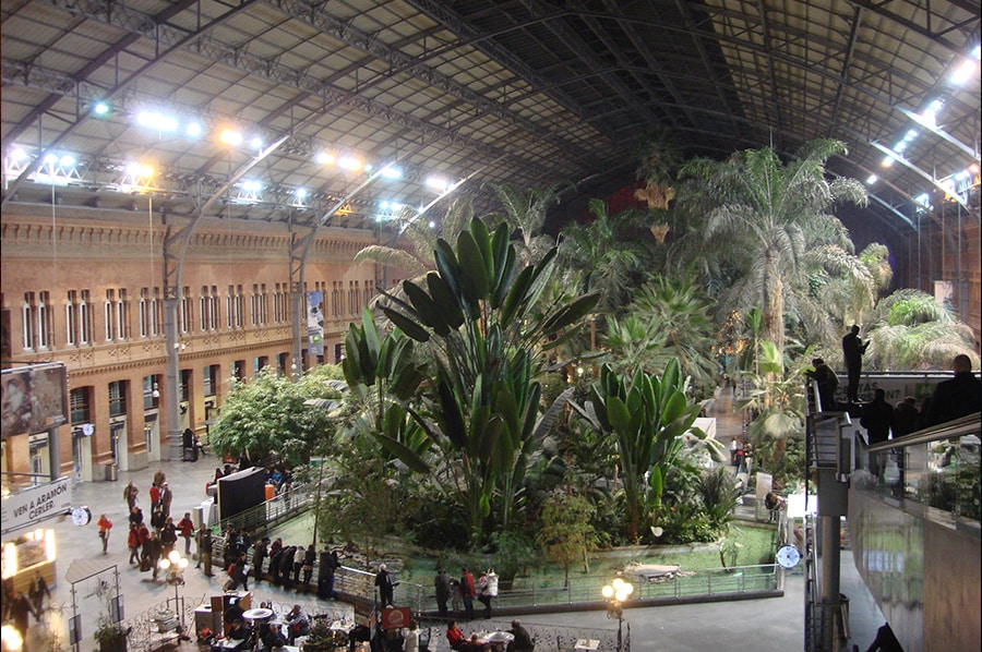 management conference