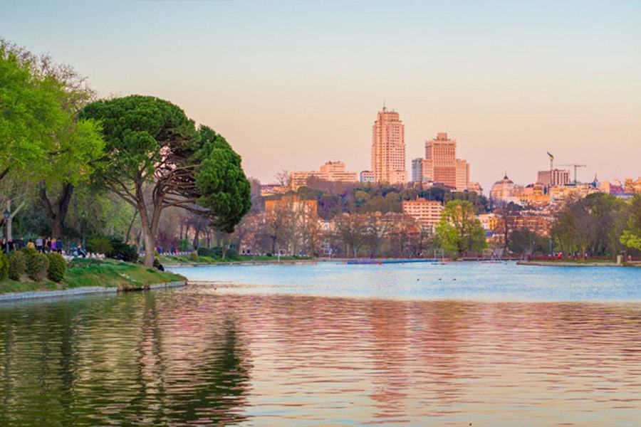 management conference