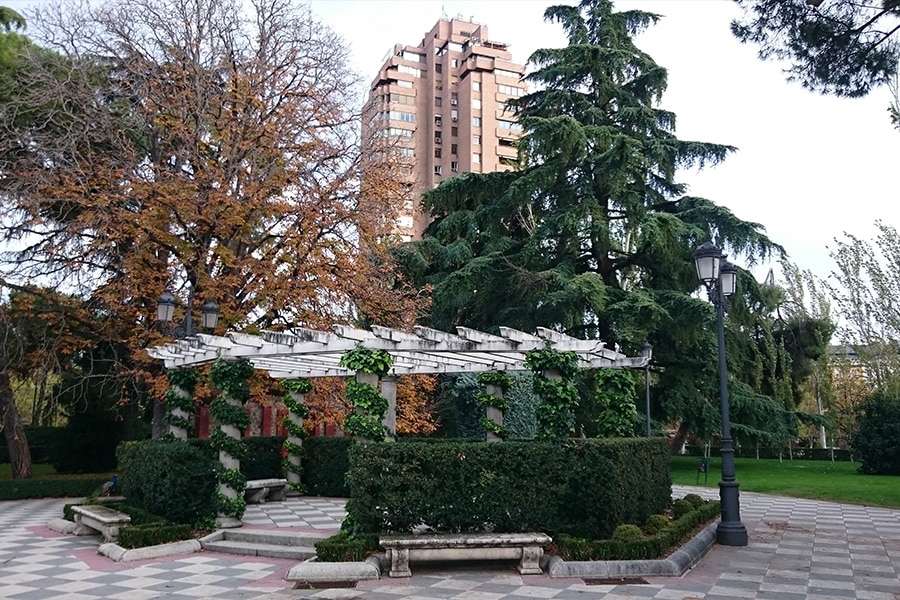 management conference