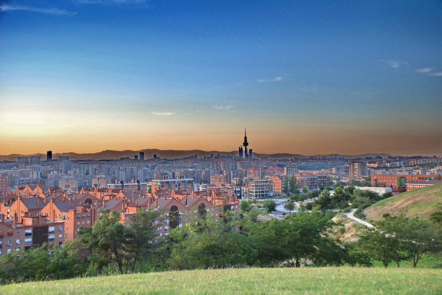 management conference